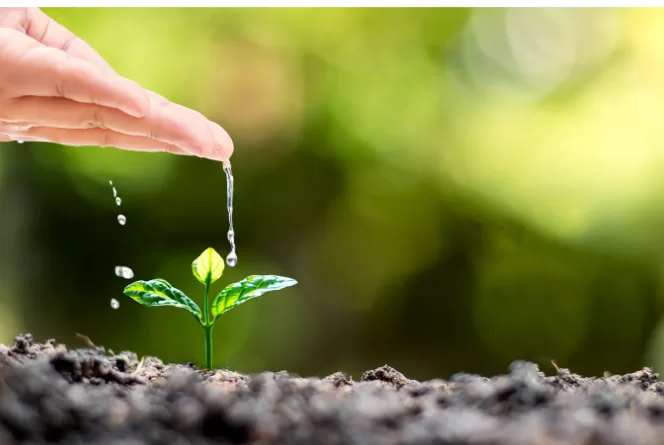 Hábitos saludables para incorporar a tu rutina este 2026.